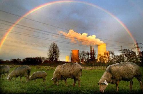 wat a pic...... - like it na