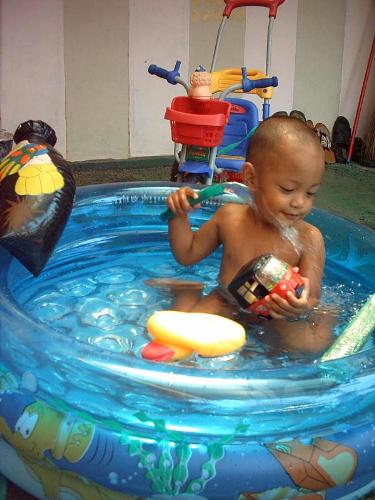 Utsa's Swimming - Utsa is happily swimming and playing with all his toys.