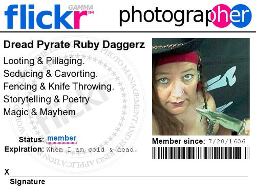 My flickr pirate badge - I love Flickr's special tools to make badges and collages and interesting web art.
