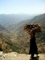Jammu - Jammu