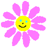 pink flower - pink flower