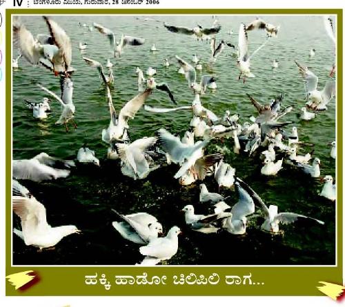 Beautiful - Lake