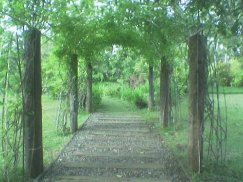 garden - garden