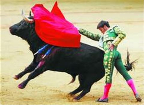 Bullfight - Bullfight Bullfight - Bullfight