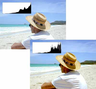 man on a sea shore of life - man on the sea shore of life is truly touching.