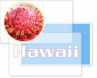 flowers - the beautiful flowers of hawaii