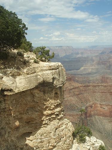 Grand canyon - I like how trees and scrubs grows at the most dangerous places. Standing near the edge was exhilarating, with birds flying beneath you.. It was great.