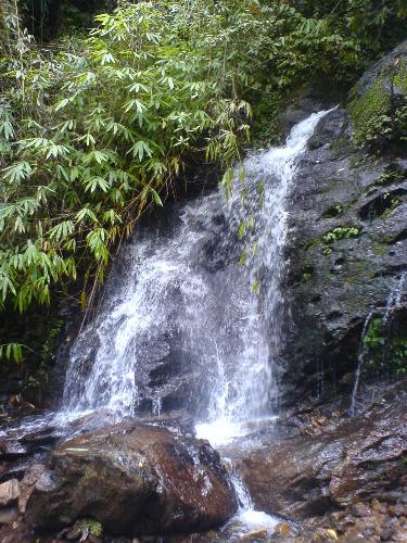 new valley - this is a valley which has small crocodiles