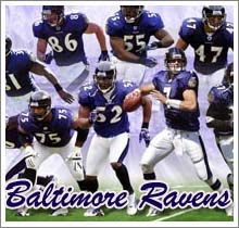 Baltimore Ravens - Baltimore Ravens