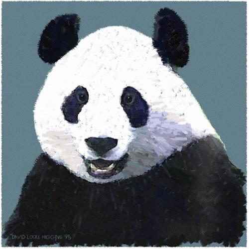 hah ah - panda