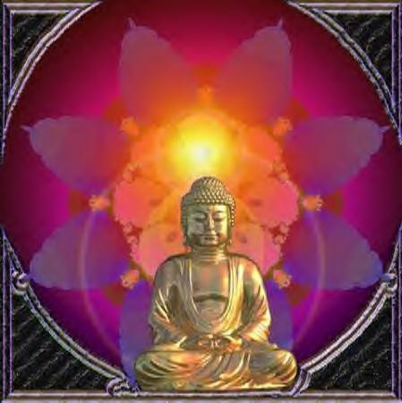 buddha - buddha