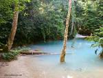 drean place for a swimming  - i would like visiting this wild place and have a relaxing 1 hour swimming there.