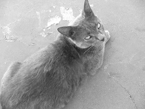 Mo bein cute - Morfessa on verandha