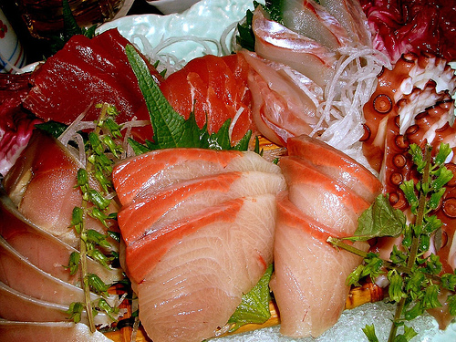sashimi - sashimi