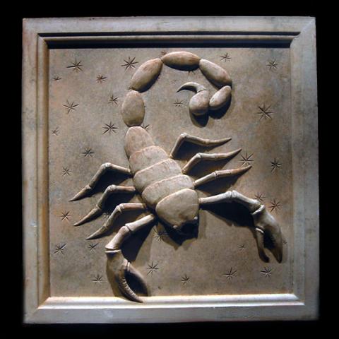 Scorpion - The 


            Scorpion King