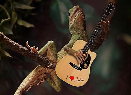 chamelion - chamelion plaing guitar