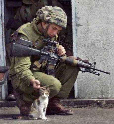 Soldier with a cat - It's cute :D