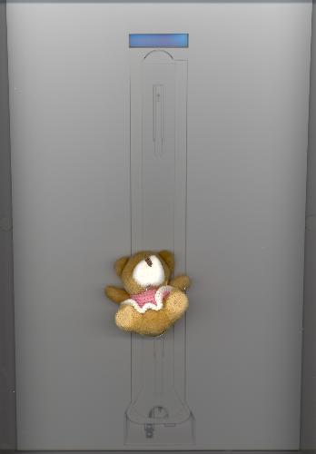 little bear being scanned - 3D scanning bear!