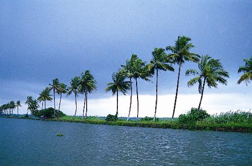kuttanad...kerala... - still a virgin.....
