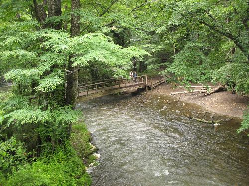 Nukko - Nature near Nikko, Japan
