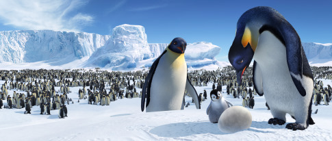 happy feet , picture from the movie - happy feet , picture from the movie