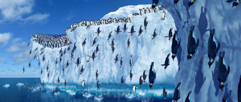 happy feet , picture from the movie - happy feet , picture from the movie