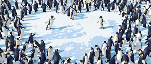 happy feet , picture from the movie - happy feet , picture from the movie