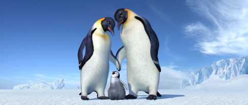 happy feet , picture from the movie - happy feet , picture from the movie