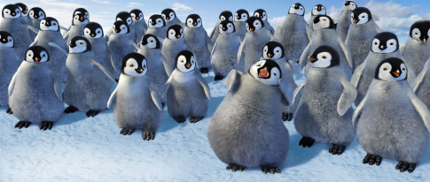 happy feet , picture from the movie - happy feet , picture from the movie