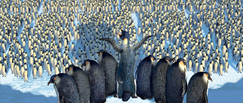happy feet , picture from the movie - happy feet , picture from the movie