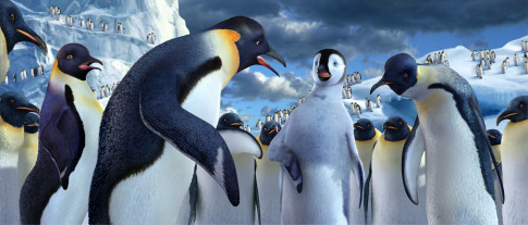 happy feet , picture from the movie - happy feet , picture from the movie