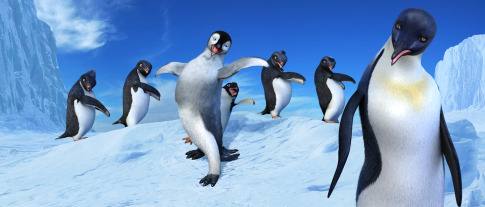 happy feet , picture from the movie - happy feet , picture from the movie