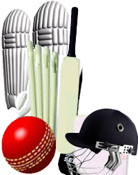 cricket - cricket is the most popular game in india.