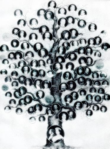 Family Tree - Family Tree