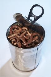 Can of worms.. - Can of worms are difficult to control...