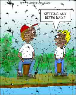 mosquito bites cartoon - being bitten by any insect is no fun and we seek ways of remedying the condtion the bites cause