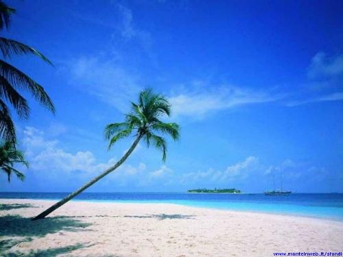 Caraibi&#039;s beach - The fantastic beach @ Caraibi!  