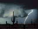 thunderstorm over the desert - desert life and weather is a unique ecosystem and a wondrous thing to be had