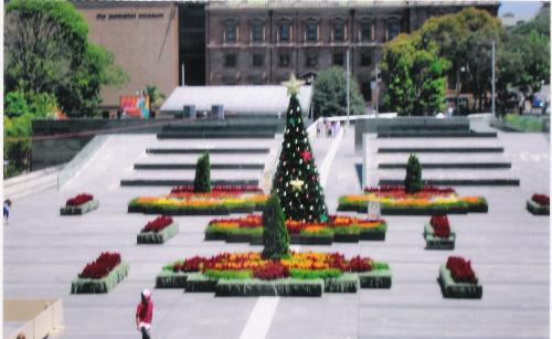 australian museum - australian museum