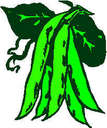 Peas - Pea pod
