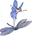 fairy and dragonfly - fairy and dragonfly