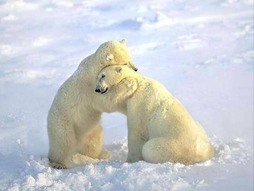 Love... - This is what love means...
