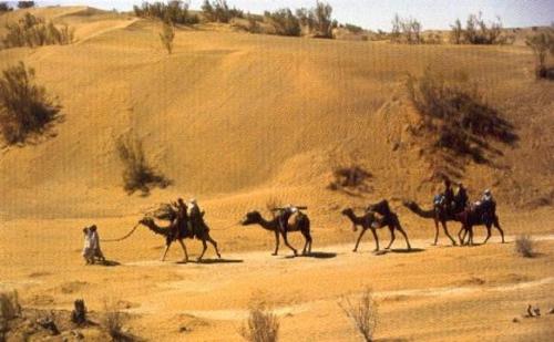 cholistan - Desert in Pakistan