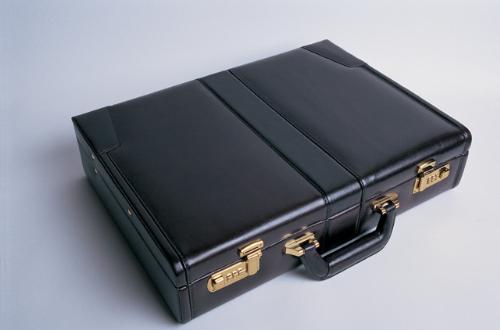 case - a suitcase, to carry a laptop