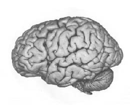 mind - mind
