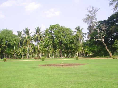 mysore-near tippu sultan momorial hall - This is a view from Tippu sultan memorial hall in mysore.