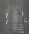ghost lady - this is from a different website!
but it shows a ghostly figure of a woman standing on the staircase and was caught on camera , it is world wide famous!!! ghost lady - this is from a different website!
but it shows a ghostly figure of a woman standing on the staircase and was caught on camera , it is world wide famous!!!