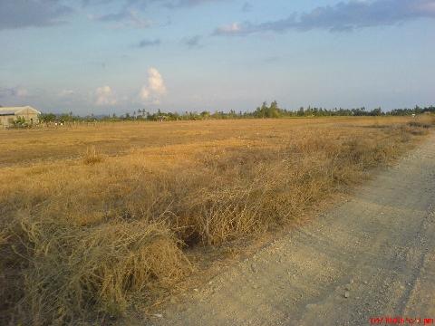 Road Trip - This picture is taken while we are on the road going to our beach resort.