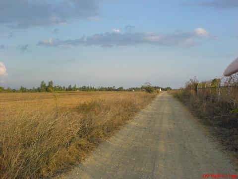 Road - This is the road going to our beach resort