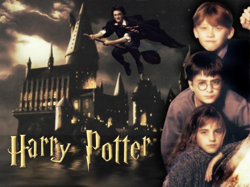 Harry Potter - The trio of Harry potter series...